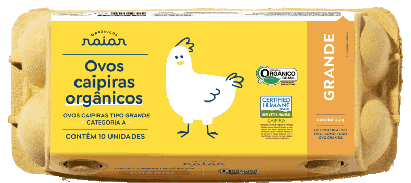 Estojo de 10 ovos grandes
