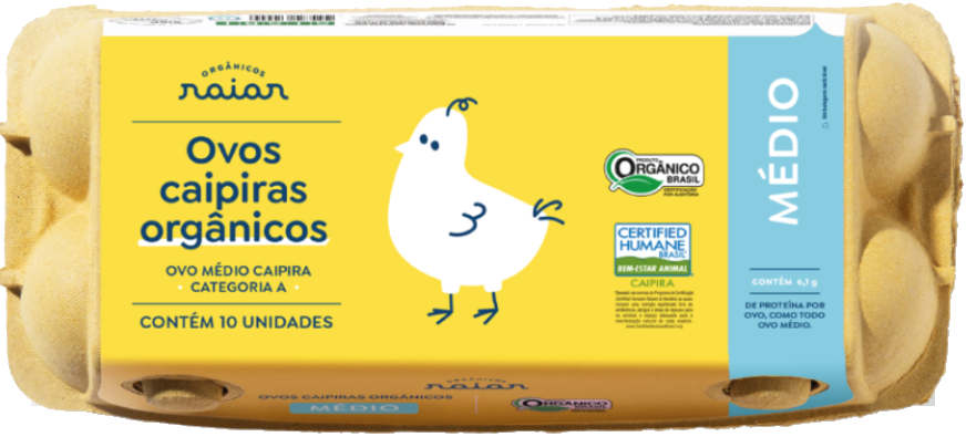 Estojo de 10 ovos médios